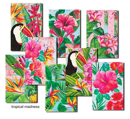 Decorer Tropical Madness Mini Paper Pack (DECOR-M92) (OUTLET) Decorer Tropical Madness Mini Paper Pack (DECOR-M92) (OUTLET)