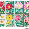 Decorer Sweet Roses Mini Paper Pack (DECOR-M98) (OUTLET) Decorer Sweet Roses Mini Paper Pack (DECOR-M98) (OUTLET)