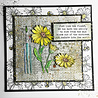 IndigoBlu Camomile A5 Rubber Stamps (IND0810) (OUTLET) IndigoBlu Camomile A5 Rubber Stamps (IND0810) (OUTLET)