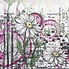 IndigoBlu Camomile A5 Rubber Stamps (IND0810) (OUTLET) IndigoBlu Camomile A5 Rubber Stamps (IND0810) (OUTLET)