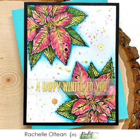 Picket Fence Studios A Christmas Flower 4x4 Inch Clear Stamps (C-119) (OUTLET) Picket Fence Studios A Christmas Flower 4x4 Inch Clear Stamps (C-119) (OUTLET)