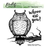 Picket Fence Studios Whooo are You? 4x4 Inch Clear Stamps (H-112) (OUTLET)