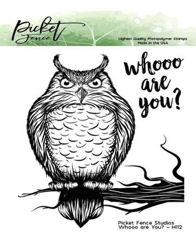 Picket Fence Studios Whooo are You? 4x4 Inch Clear Stamps (H-112) (OUTLET)