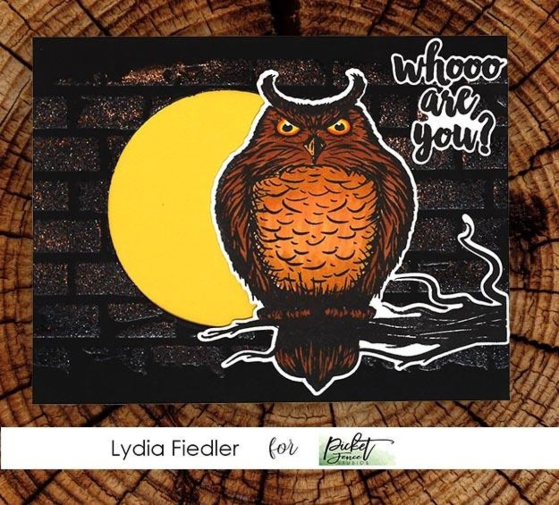 Picket Fence Studios Whooo are You? 4x4 Inch Clear Stamps (H-112) (OUTLET) Picket Fence Studios Whooo are You? 4x4 Inch Clear Stamps (H-112) (OUTLET)