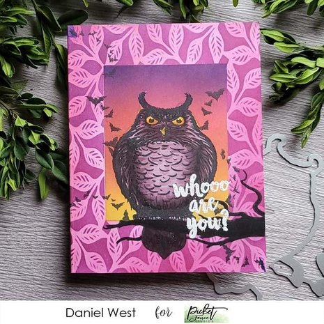 Picket Fence Studios Whooo are You? 4x4 Inch Clear Stamps (H-112) (OUTLET) Picket Fence Studios Whooo are You? 4x4 Inch Clear Stamps (H-112) (OUTLET)