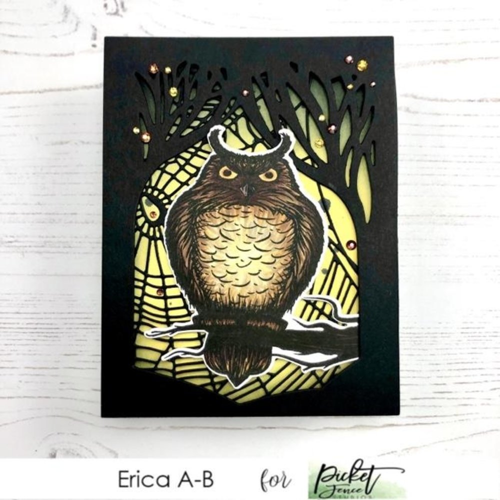 Picket Fence Studios Whooo are You? 4x4 Inch Clear Stamps (H-112) (OUTLET) Picket Fence Studios Whooo are You? 4x4 Inch Clear Stamps (H-112) (OUTLET)