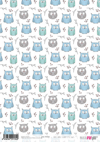 Papers For You Scandi Style Owls A4 Rice Paper (6 pcs) (PFY-2134) (DISCONTINUED) Papers For You Scandi Style Owls A4 Rice Paper (6 pcs) (PFY-2134) (DISCONTINUED)