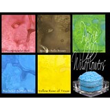 Lindy's Stamp Gang Prairie Wildflowers Magical Set (mag-09)