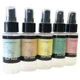 Lindy's Stamp Gang Tres Chic Flat Fabio Spray Set (ff-set-05) (DISCONTINUED)