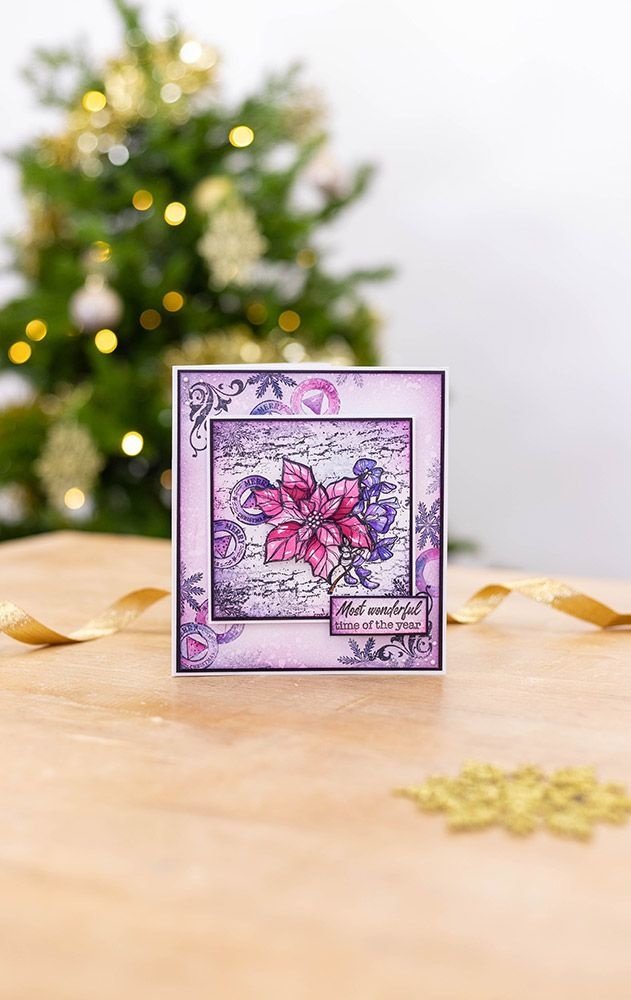 Crafter's Companion Christmas Poinsettia Clear Stamps (CC-ST-CA-CHPO) (OUTLET) Crafter's Companion Christmas Poinsettia Clear Stamps (CC-ST-CA-CHPO) (OUTLET)