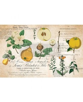 Re-Design with Prima Primrose 19x30 Inch Tissue Paper (650704) (DISCONTINUED)