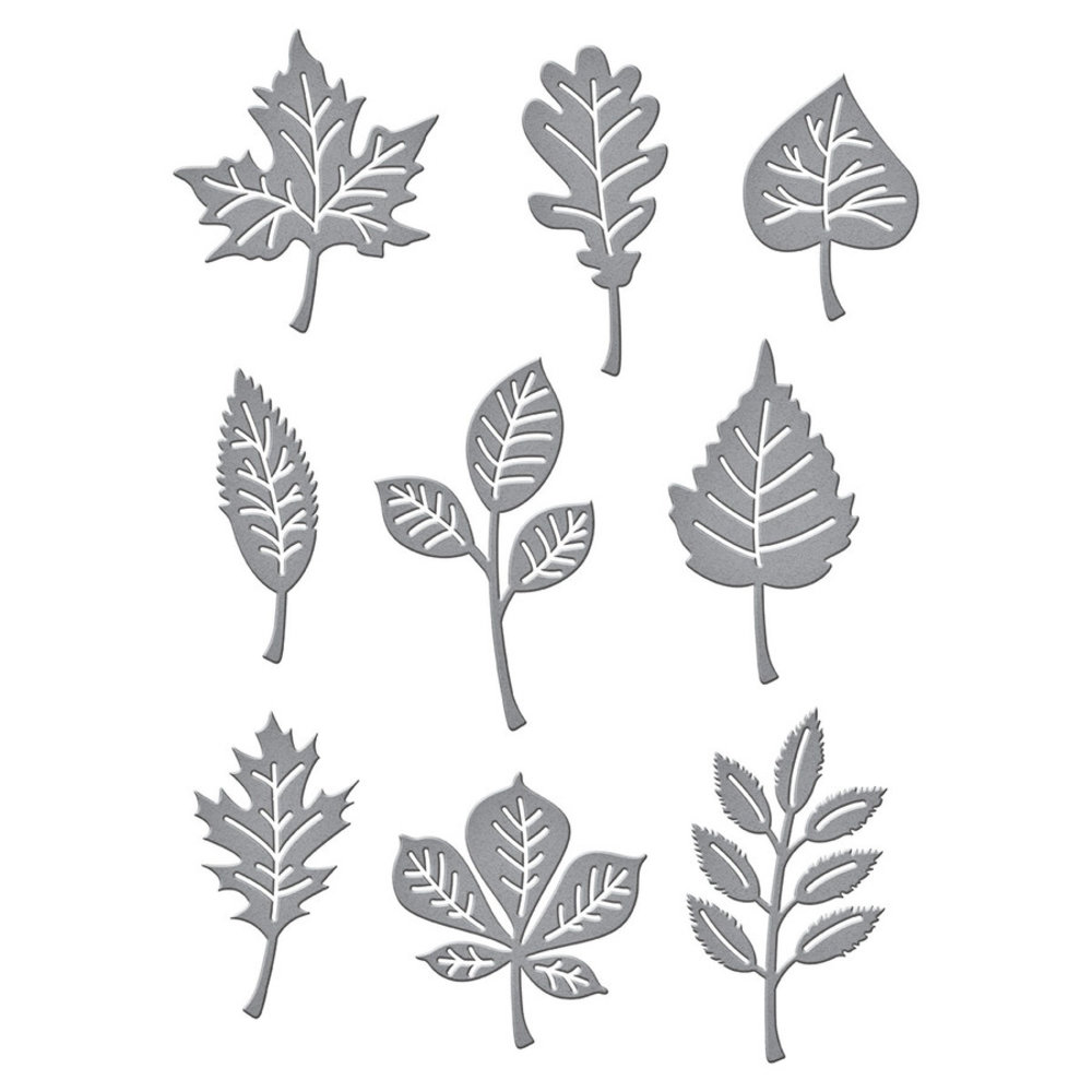 Spellbinders Autumn Leaves Etched Dies (S4-1137) Spellbinders Autumn Leaves Etched Dies (S4-1137)