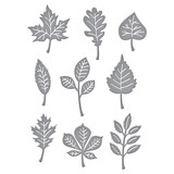Spellbinders Autumn Leaves Etched Dies (S4-1137)