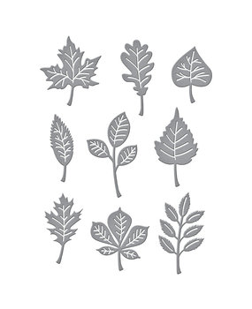Spellbinders Autumn Leaves Etched Dies (S4-1137) Spellbinders Autumn Leaves Etched Dies (S4-1137)
