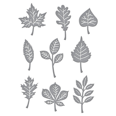 Spellbinders Autumn Leaves Etched Dies (S4-1137) Spellbinders Autumn Leaves Etched Dies (S4-1137)