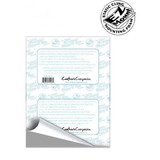 Crafter's Companion EZ Mount Single Foam Sheet 1/16 Inch (EZ811-THIN)