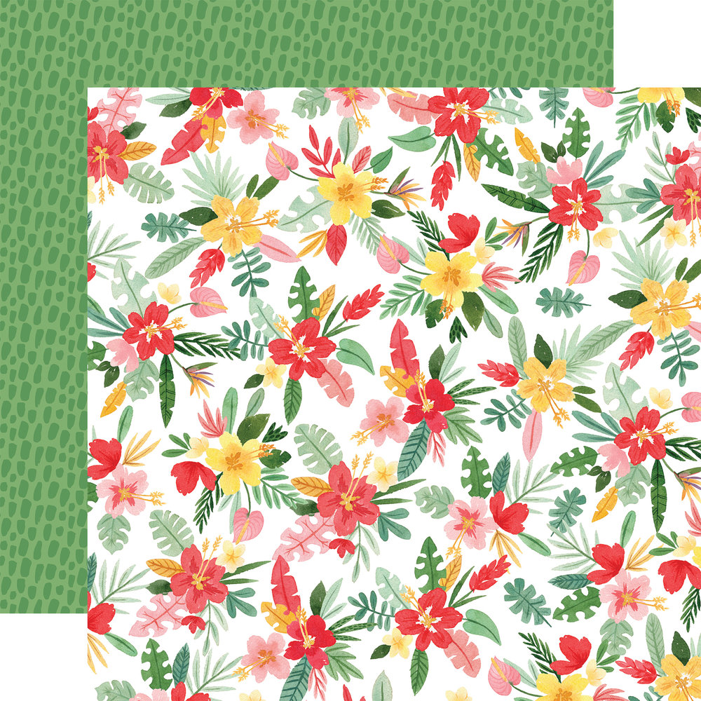 Echo Park Animal Kingdom 12x12 Inch Collection Kit (AK259016) (DISCONTINUED) Echo Park Animal Kingdom 12x12 Inch Collection Kit (AK259016) (DISCONTINUED)