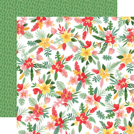 Echo Park Animal Kingdom 12x12 Inch Collection Kit (AK259016) (DISCONTINUED) Echo Park Animal Kingdom 12x12 Inch Collection Kit (AK259016) (DISCONTINUED)