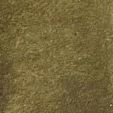 Lindy's Stamp Gang Fairy Garden Green Starburst Spray (ss-101) (DISCONTINUED)