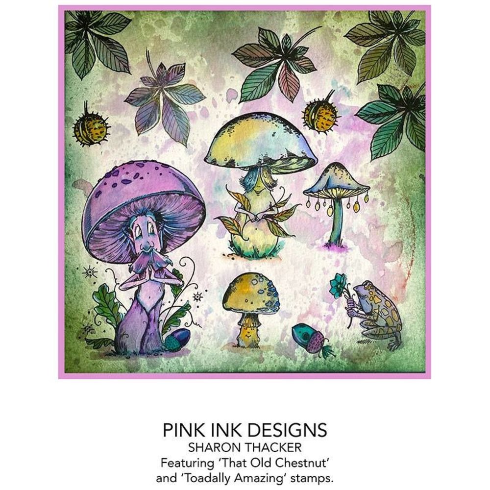 Pink Ink Designs Toadally Amazing A6 Clear Stamp (PI115) (OUTLET)