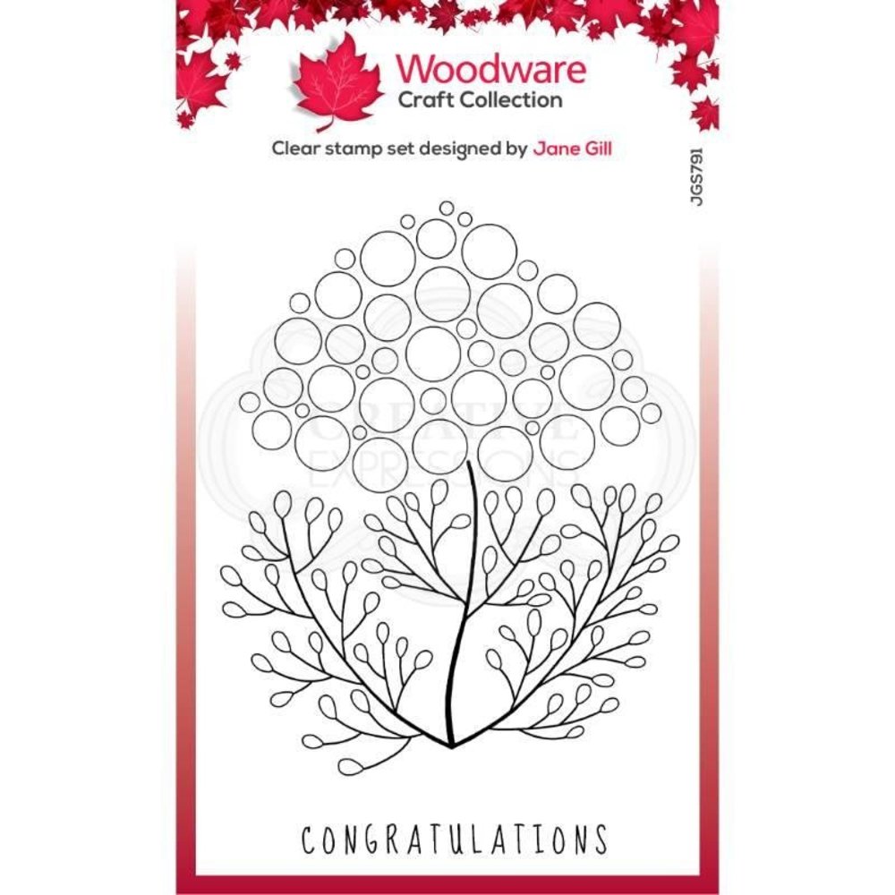 Woodware Bubble Bloom Carrie Clear Stamp (JGS791) (OUTLET) Woodware Bubble Bloom Carrie Clear Stamp (JGS791) (OUTLET)