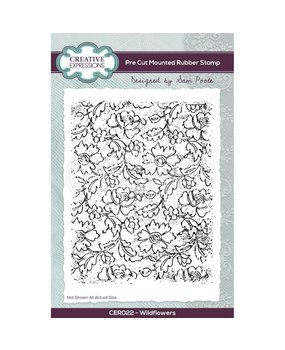 Creative Expressions Sam Poole Rubber Stamp A6 Wildflowers (CER022) (OUTLET)