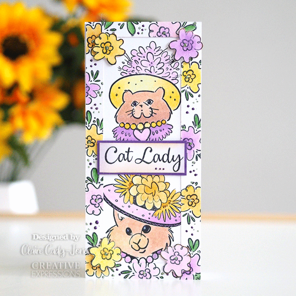 Creative Expressions Designer Boutique Clear Stamp A5 Pretty Kitties (UMSDB051) (OUTLET) Creative Expressions Designer Boutique Clear Stamp A5 Pretty Kitties (UMSDB051) (OUTLET)