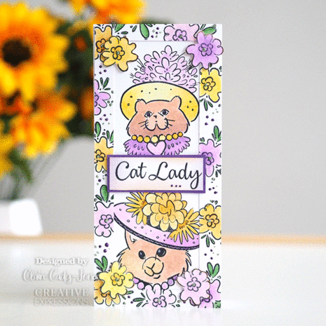 Creative Expressions Designer Boutique Clear Stamp A5 Pretty Kitties (UMSDB051) (OUTLET) Creative Expressions Designer Boutique Clear Stamp A5 Pretty Kitties (UMSDB051) (OUTLET)