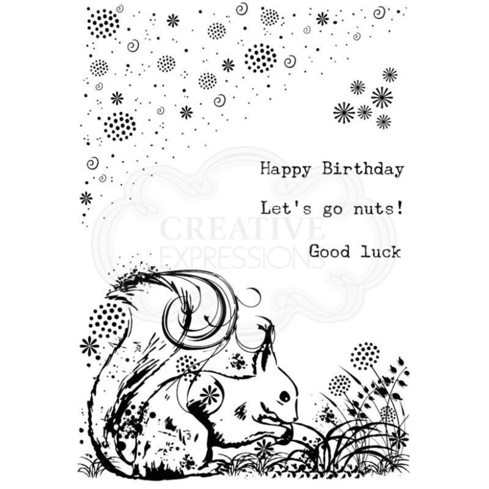 Creative Expressions Designer Boutique Clear Stamp A6 Woodland Walk Sammy Squirrel (UMSDB089) (OUTLET) Creative Expressions Designer Boutique Clear Stamp A6 Woodland Walk Sammy Squirrel (UMSDB089) (OUTLET)
