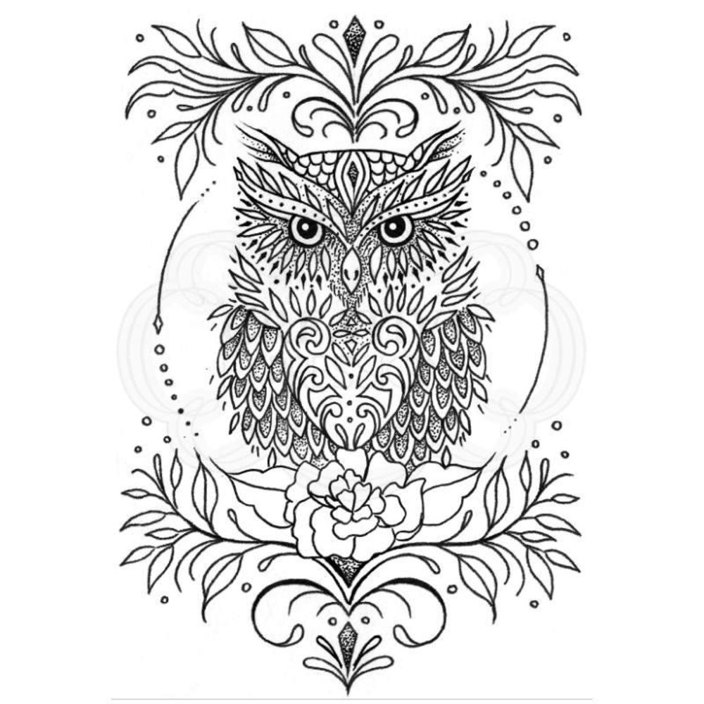 Creative Expressions Designer Boutique Clear Stamp A6 Owl Be There For Twit Twoo (UMSDB084) (OUTLET) Creative Expressions Designer Boutique Clear Stamp A6 Owl Be There For Twit Twoo (UMSDB084) (OUTLET)