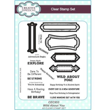 Creative Expressions Clear Stamp A5 Wild About You (CEC953) (OUTLET)