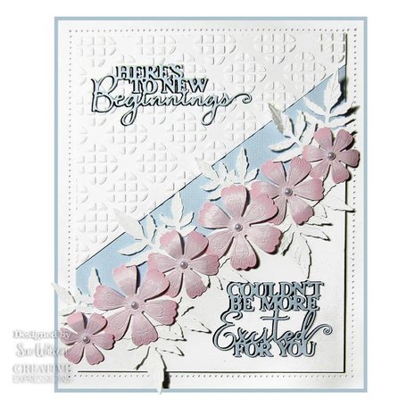 Creative Expressions Sue Wilson Craft Die Mini Expressions Duos New Beginnings (CEDME093) (OUTLET)