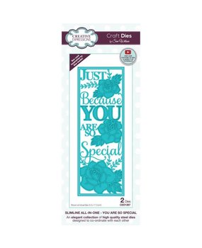 Creative Expressions Sue Wilson Craft Die Slimline All-In-One You Are So Special (CED1267) (OUTLET)
