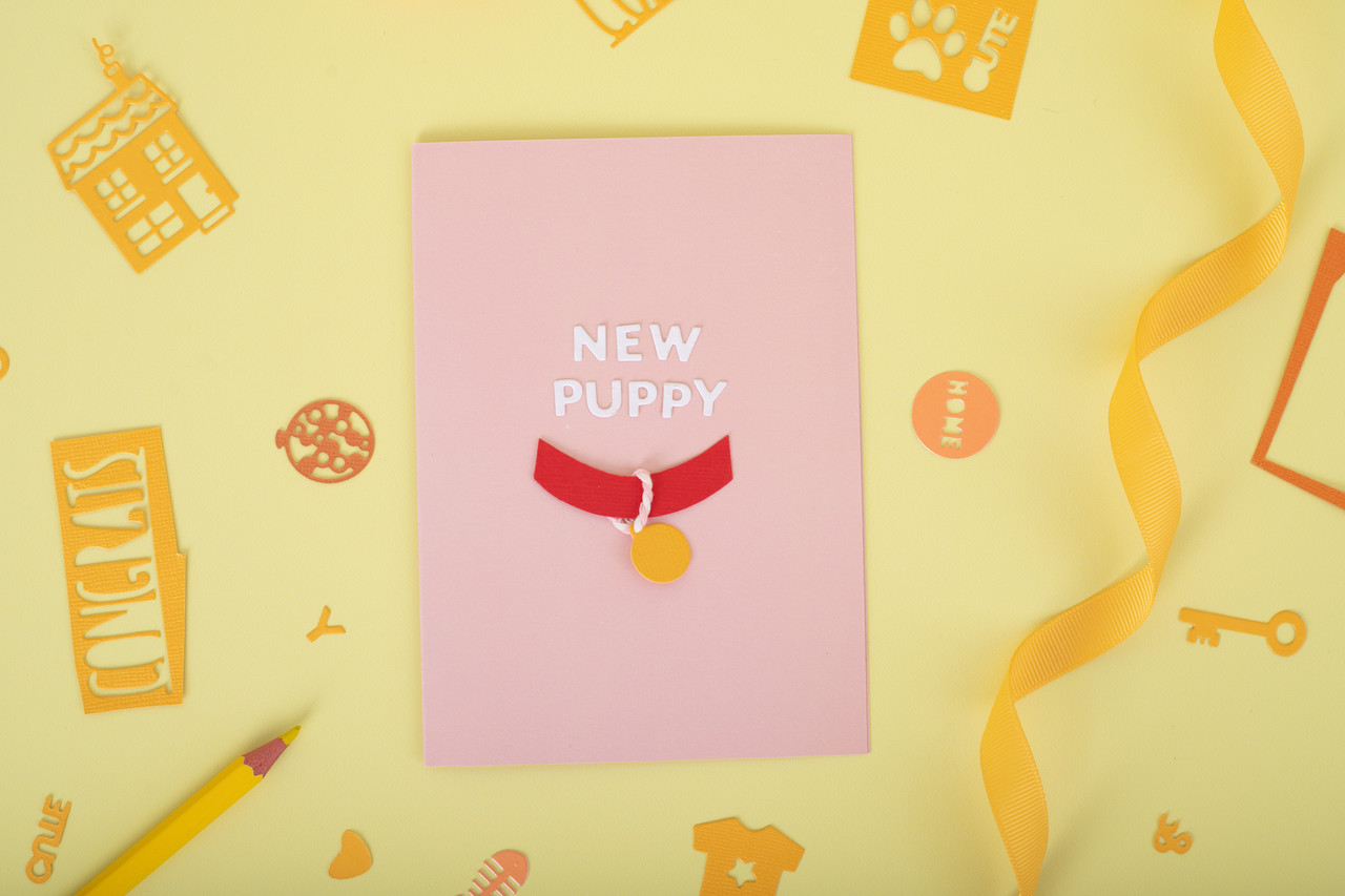 Gemini Pets Mini Elements Dies (GEM-MINI-DIE-022) (OUTLET) Gemini Pets Mini Elements Dies (GEM-MINI-DIE-022) (OUTLET)