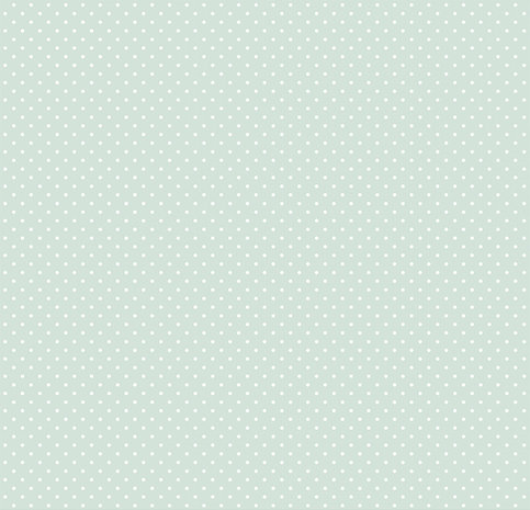 Papers For You Verde Menta Collection Leather Paper Kit (4pcs) (PFY-4732) (DISCONTINUED) Papers For You Verde Menta Collection Leather Paper Kit (4pcs) (PFY-4732) (DISCONTINUED)