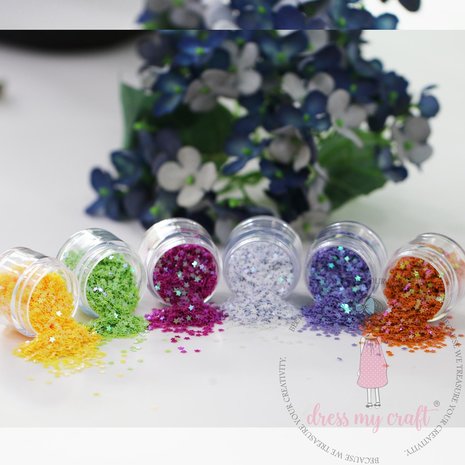 Dress My Craft Sequins Family Pack Star 6x8g (DMCS4526) (OUTLET) Dress My Craft Sequins Family Pack Star 6x8g (DMCS4526) (OUTLET)