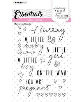 Studio Light Hurray Sentiments Clear Stamps (SL-ES-STAMP172) (OUTLET)