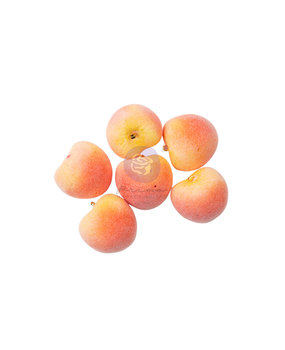 Prima Marketing Peach Tea Charms Mini Peach (6pcs) (997601) (DISCONTINUED) Prima Marketing Peach Tea Charms Mini Peach (6pcs) (997601) (DISCONTINUED)