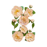 Prima Marketing Peach Tea Flowers Peach Iced Tea (8pcs) (658625) (DISCONTINUED)