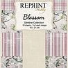 Reprint Blossom Slimline Paper Pack (RPS026) (OUTLET)