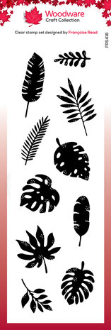 Woodware House Plant Leaves Clear Stamp (FRS416) (OUTLET) Woodware House Plant Leaves Clear Stamp (FRS416) (OUTLET)