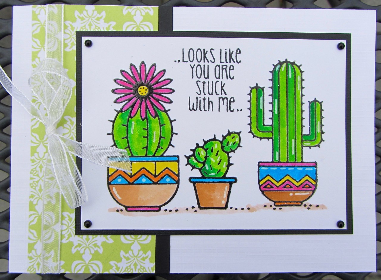 Woodware Succulents Clear Stamp (FRS041) (OUTLET) Woodware Succulents Clear Stamp (FRS041) (OUTLET)