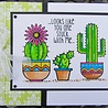 Woodware Succulents Clear Stamp (FRS041) (OUTLET) Woodware Succulents Clear Stamp (FRS041) (OUTLET)