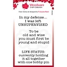 Woodware Life Status Clear Stamp (FRM018) (OUTLET) Woodware Life Status Clear Stamp (FRM018) (OUTLET)