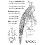 Woodware Magnificent Peacock Clear Stamp (JGS666) (OUTLET)