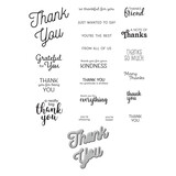 Spellbinders Many Thanks Clear Stamp & Die Set (SDS-171) (OUTLET)
