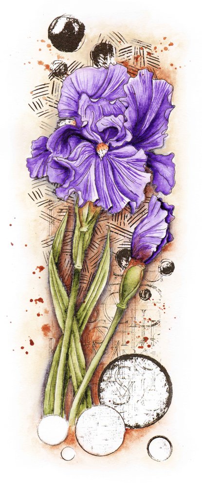 Studio Light Iris Grunge Stamps (SL-GR-STAMP203) (OUTLET) Studio Light Iris Grunge Stamps (SL-GR-STAMP203) (OUTLET)