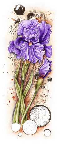 Studio Light Iris Grunge Stamps (SL-GR-STAMP203) (OUTLET) Studio Light Iris Grunge Stamps (SL-GR-STAMP203) (OUTLET)