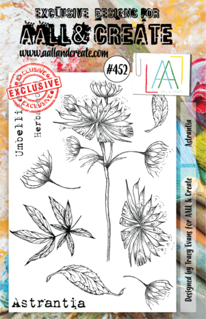 Aall and Create Stamp Set A5 Astrantia (AALL-TP-452) (DISCONTINUED) Aall and Create Stamp Set A5 Astrantia (AALL-TP-452) (DISCONTINUED)