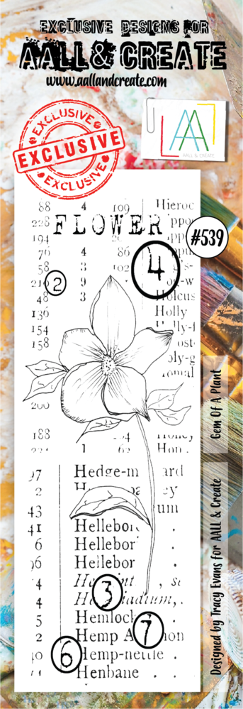 Aall and Create Stamp Set Border Gem Of A Plant (AALL-TP-539) (DISCONTINUED) Aall and Create Stamp Set Border Gem Of A Plant (AALL-TP-539) (DISCONTINUED)